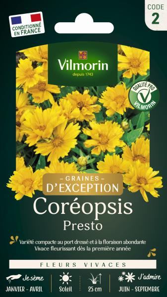 Fleurs - Coréopsis Presto - Graines d'Exception - PACKAGING_RECTO